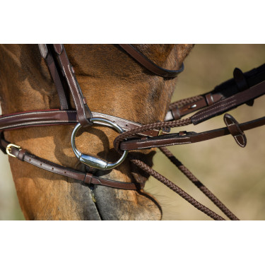 Rênes allemandes cuir + corde HFI Master Rênes allemandes cuir + corde HFI Master