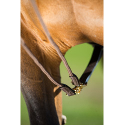 Rênes allemandes cuir + corde HFI Master Marron