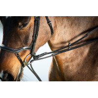Rênes allemandes cuir + corde HFI Master Noir