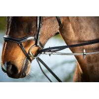 Rênes allemandes cuir HFI Master Noir