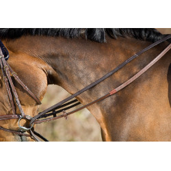 Rênes allemandes cuir HFI Master Marron