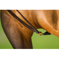 Rênes allemandes cuir HFI Master Marron Rênes allemandes cuir HFI Master Marron