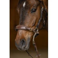 Set Muserolle Gourmette Hackamore HFI Master Marron