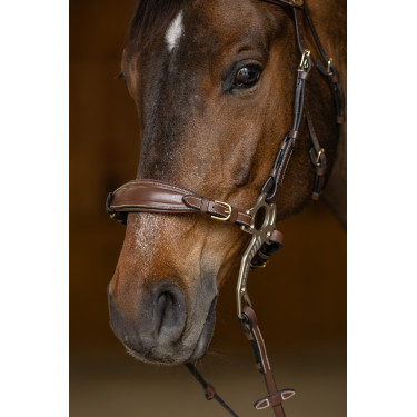 Set Muserolle Gourmette Hackamore HFI Master Set Muserolle Gourmette Hackamore HFI Master
