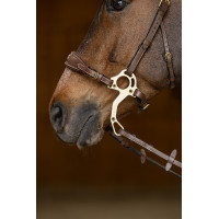 Set Muserolle Gourmette Hackamore HFI Master Marron