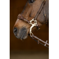 Set Muserolle Gourmette Hackamore HFI Master Marron Set Muserolle Gourmette Hackamore HFI Master Marron