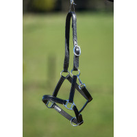 Licol cuir doublé HFI Master Noir
