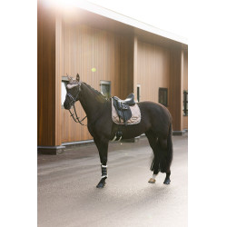 Bonnet anti-mouches Imperial Riding Lovely Cappuccino Marron