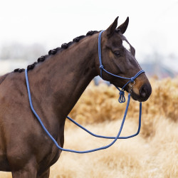 Licol corde Imperial Riding Ambient Licol corde Imperial Riding Ambient