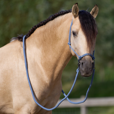 Licol corde Imperial Riding Ambient Licol corde Imperial Riding Ambient