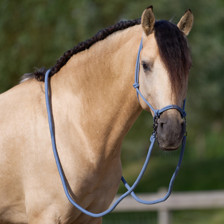Licol corde Imperial Riding Ambient Licol corde Imperial Riding Ambient