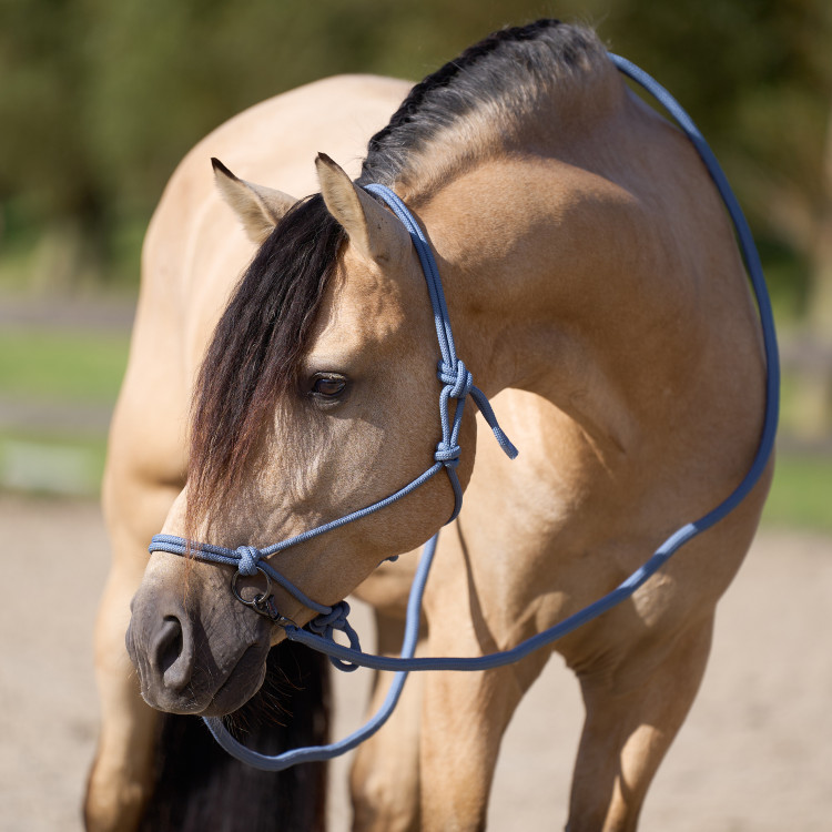 Licol corde Imperial Riding Ambient Licol corde Imperial Riding Ambient