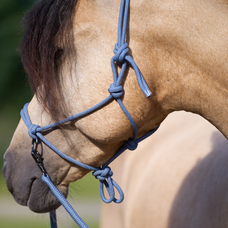 Licol corde Imperial Riding Ambient Licol corde Imperial Riding Ambient