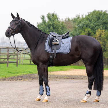 Tapis de selle HV Polo Dana Dressage Tapis de selle HV Polo Dana Dressage