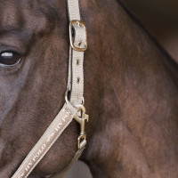 Licol HV Polo Nena Caillou Gris Licol HV Polo Nena Caillou Gris