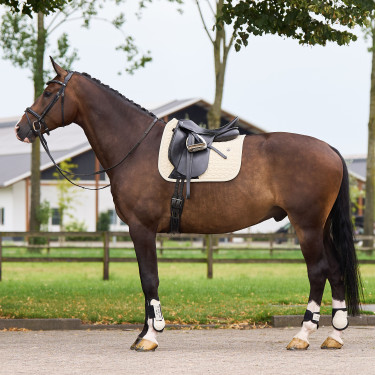 Tapis de selle HV Polo Essential Dressage Tapis de selle HV Polo Essential Dressage