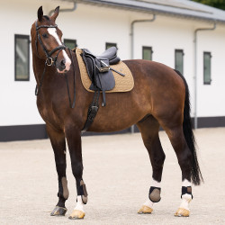 Tapis de selle HV Polo Essential Dressage Paille Marron