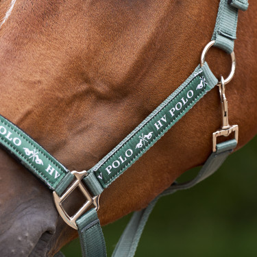 Licol HV Polo Nena Verdure Vert Licol HV Polo Nena Verdure Vert