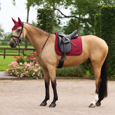 Bonnet anti-mouches Euro-Star Coco Bonnet anti-mouches Euro-Star Coco