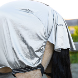 Chemise Anti-Eczéma Imperial Riding Argent