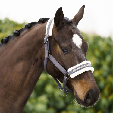 Licol Imperial Riding Jewel Licol Imperial Riding Jewel