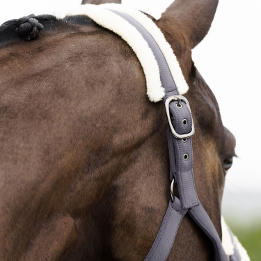 Licol Imperial Riding Jewel Licol Imperial Riding Jewel