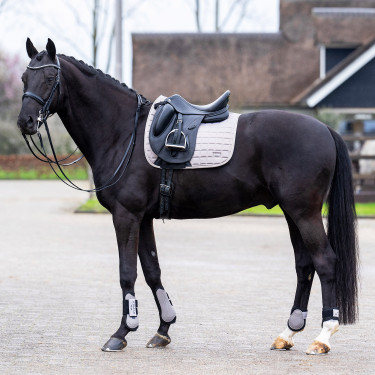 Tapis de selle HV Polo Dewi dressage Tapis de selle HV Polo Dewi dressage