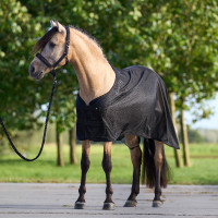 Chemise de transport HV Polo Mesh Noir