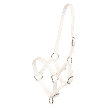 Licol foal HV Polo Nena Licol foal HV Polo Nena