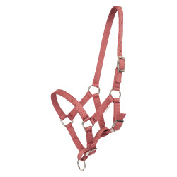 Licol foal HV Polo Nena