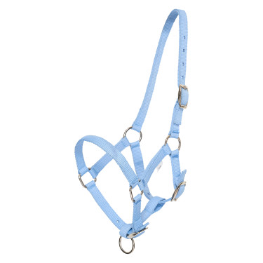Licol foal HV Polo Nena Sea