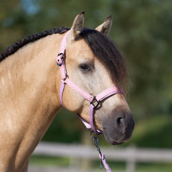 Licol Imperial Riding Sparkle Ballerina Violet