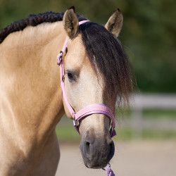 Licol Imperial Riding Sparkle Ballerina Violet