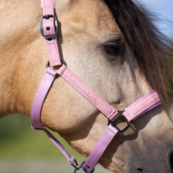 Licol Imperial Riding Sparkle Ballerina Violet