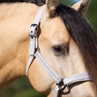 Licol Imperial Riding Sparkle Licol Imperial Riding Sparkle