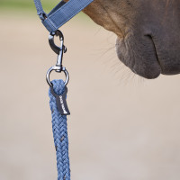 Longe d'attache Imperial Riding Deluxe mousqueton simple Ballerina Violet Longe d'attache Imperial Riding Deluxe mousqueton simple Ballerina Violet