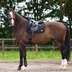 Tapis de selle HV Polo Pro performance dressage Noir