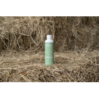 Huile de massage Alodis Care Huile Fresh Huile de massage Alodis Care Huile Fresh