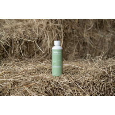 Huile de massage Alodis Care Huile Fresh Huile de massage Alodis Care Huile Fresh