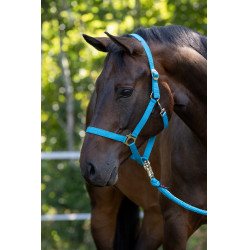 Licol Hippo Covalliero Bleu
