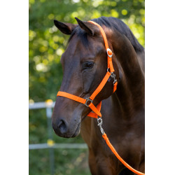 Licol Hippo Covalliero Orange