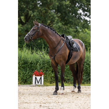 Bridon Clincher Covalliero Bridon Clincher Covalliero