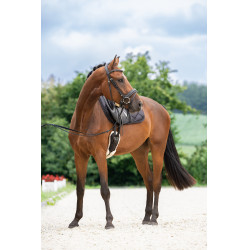 Bridon suédois Covalliero Noir Bridon suédois Covalliero Noir