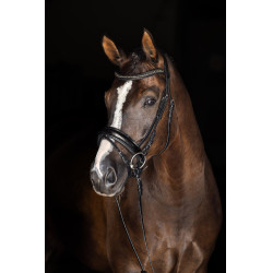 Bridon suédois Covalliero Noir Bridon suédois Covalliero Noir