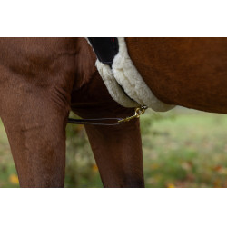 Collier de chasse à LED Covalliero Jaune