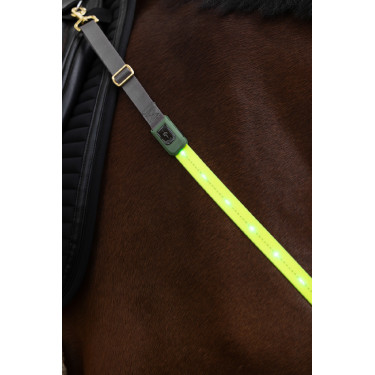 Collier de chasse à LED Covalliero Collier de chasse à LED Covalliero