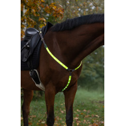 Collier de chasse à LED Covalliero Jaune