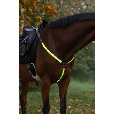Collier de chasse à LED Covalliero Collier de chasse à LED Covalliero