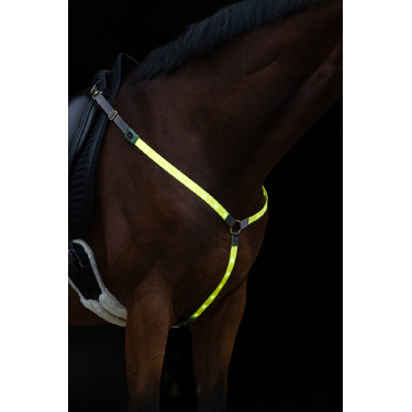 Collier de chasse à LED Covalliero Collier de chasse à LED Covalliero