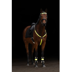 Collier de chasse à LED Covalliero Jaune